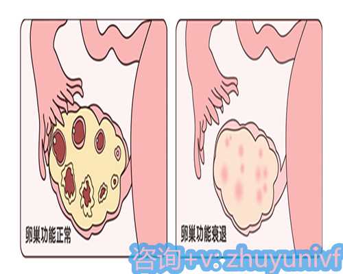 生兔宝宝,应该在2026年几月份备孕?
