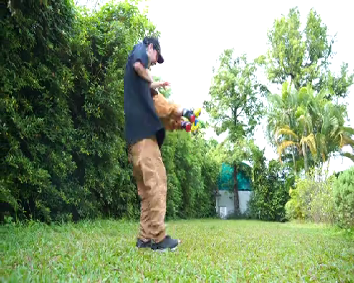 深圳试管可以选性别吗，指定生男孩价格多少？