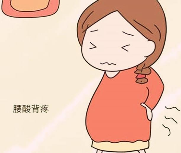 在哈尔滨做试管婴儿成功率有多高？试管前需要做什么检查？