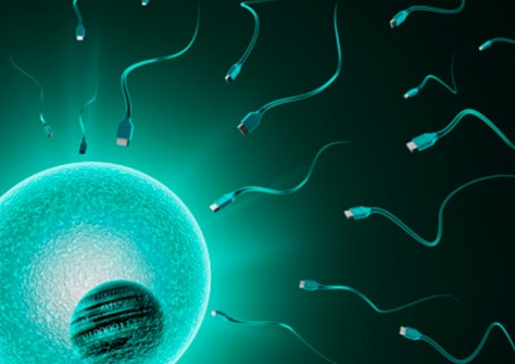 试管移植前到底能不能跑步？对移植成功率有没有影响？