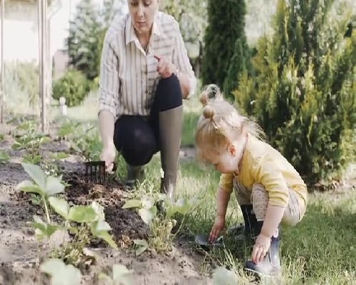 囊胚移植三天就可以着床吗？