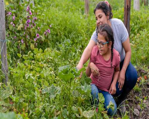 仁济北🧪｜移植前都做了哪些准备,代孕公司哪个正规