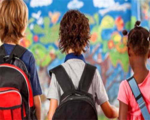 生育检查的费用不能报销？,代孕产子需要多少费用